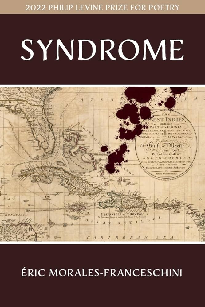 Syndrome Book Cover