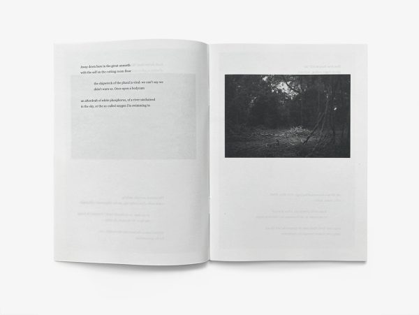 Endscape Interior Photo 2