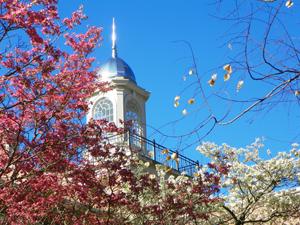 Park Hall Cupola